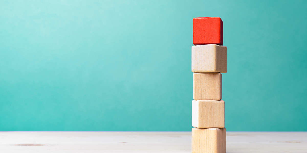 Semplifica la gestione di portafoglio con i LifeStrategy UCITS ETF